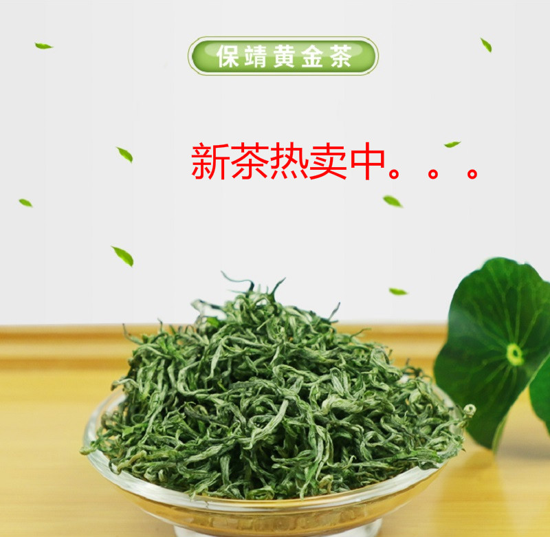 保靖黄金绿茶新茶明前嫩叶芽头春茶湖南湘西黄金茶禾尚熙高档礼盒装