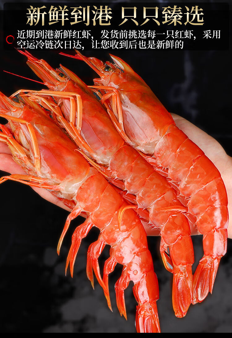 顺丰现货顺丰速运新鲜红虾特大新鲜超大虾鲜活海捕大虾海鲜水产冷冻大