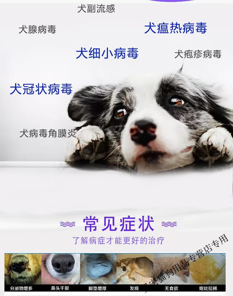【顺丰速运】北京铁草犬干扰素细小犬瘟冠状病毒呕吐拉稀便血神经抽搐