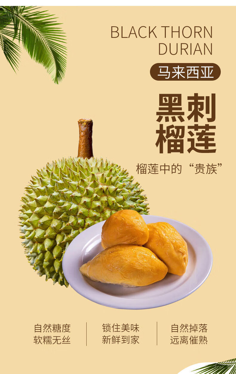 运输】黑刺榴莲马来西亚进口d200带壳榴莲液氮冷冻新鲜树上熟黑刺榴莲