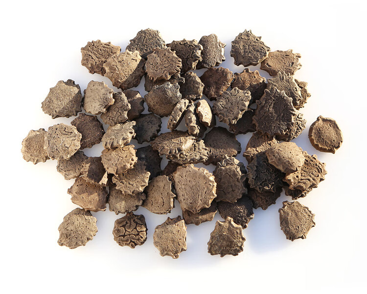 中药材木鳖子500g克 木鳖子仁木鳖子果 土木鳖 木憋子