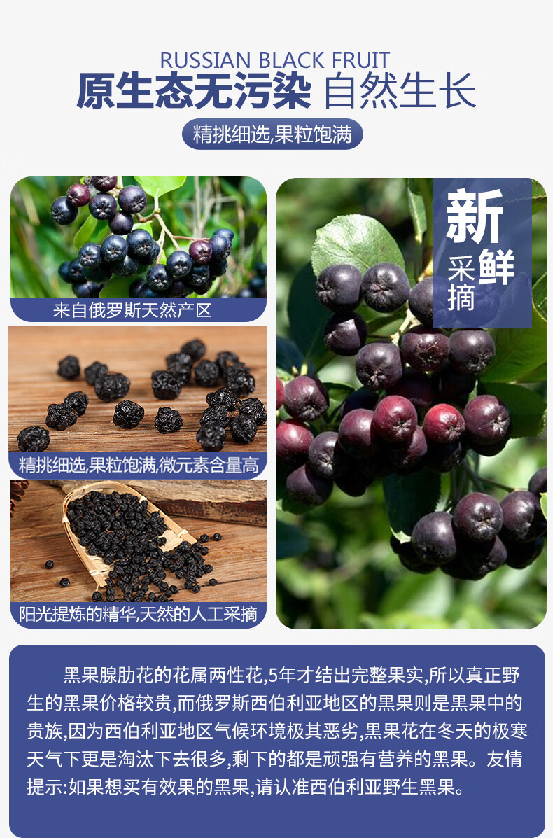俄罗斯黑果100g天然纯野生天鹅绒黑果实小黑果花楸【图片 价格 品牌