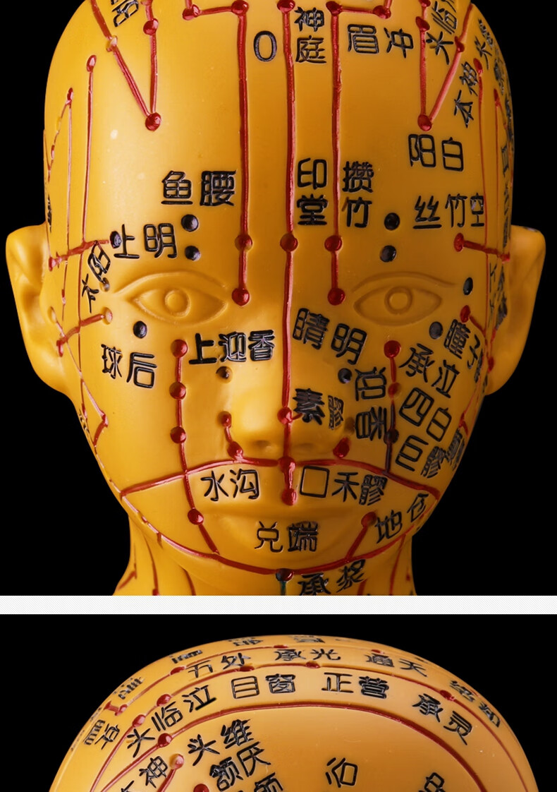 中医针灸人体穴位模型人体经络穴位图十二可扎针练习教学小铜人铜色