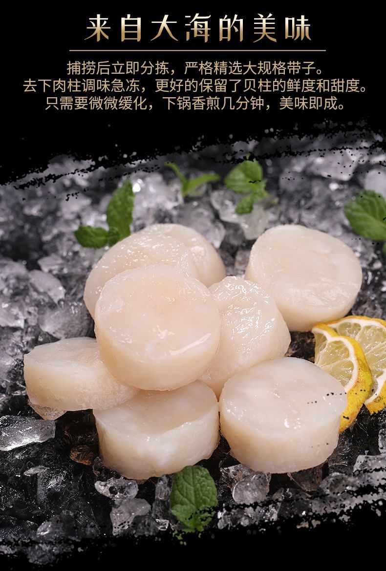 新鲜速冻 新鲜扇贝柱 冷冻元贝柱瑶柱扇贝扇贝丁海鲜冷冻 三斤装大号