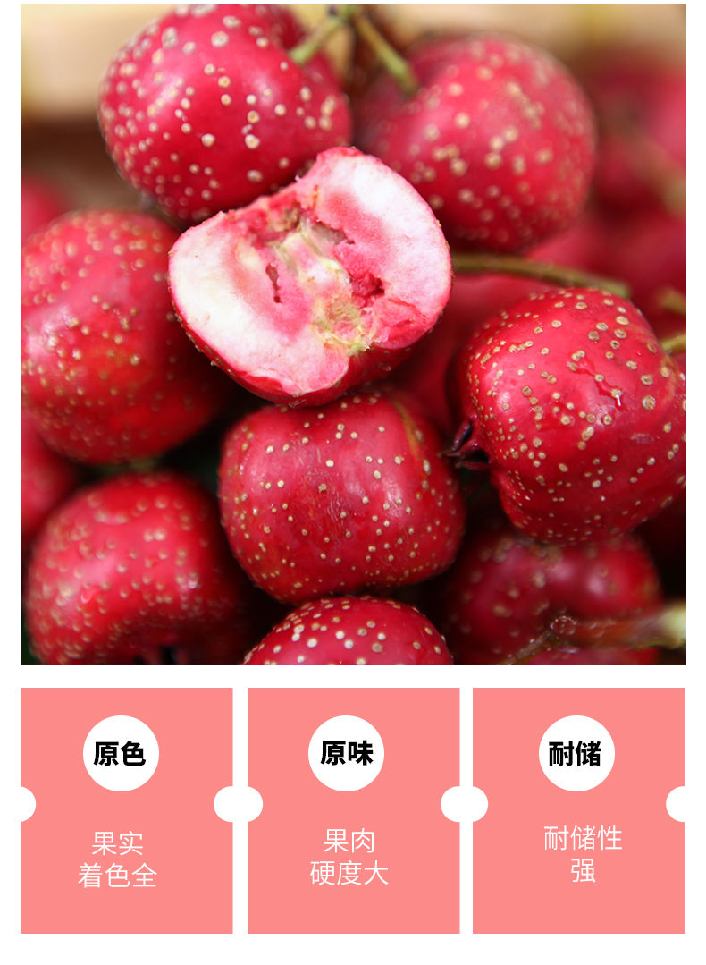 媚调山楂一斤装小金星鲜山楂果山里红酸甜秋金星甜山楂 100-200粒2f斤