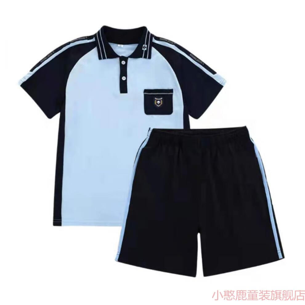 聂庄广西南宁市初中校服小学生夏季运动校服天蓝套装男女班服休闲藏青
