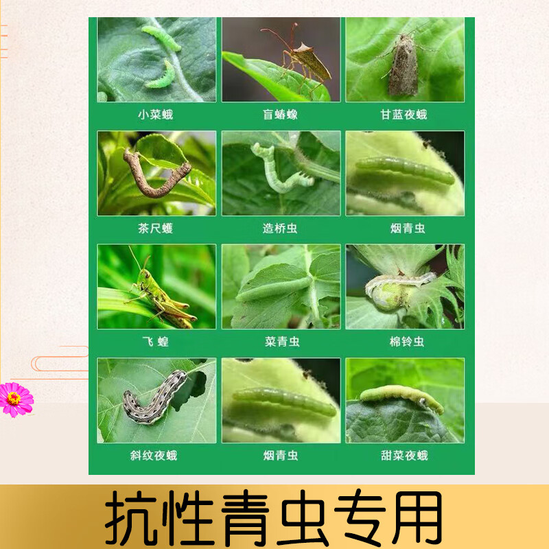 甲维虫螨腈晴虱螨脲菜青虫吊丝虫玉米钻心虫小菜蛾蔬菜果树农药2000g