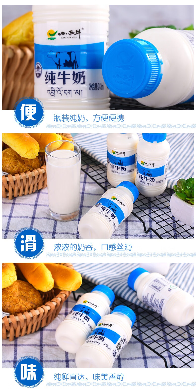 青海小西牛牛奶243ml12瓶整箱小瓶装小犀牛纯牛奶小孩子喝的牛奶