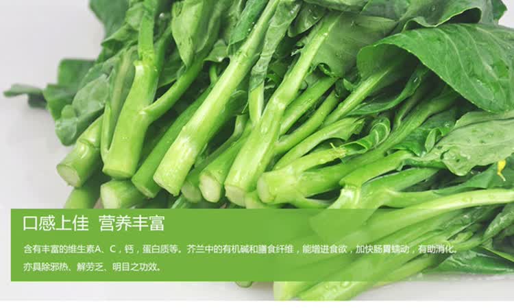 芥蓝新鲜 新鲜蔬菜 小芥兰 芥蓝 中花 芥兰500g