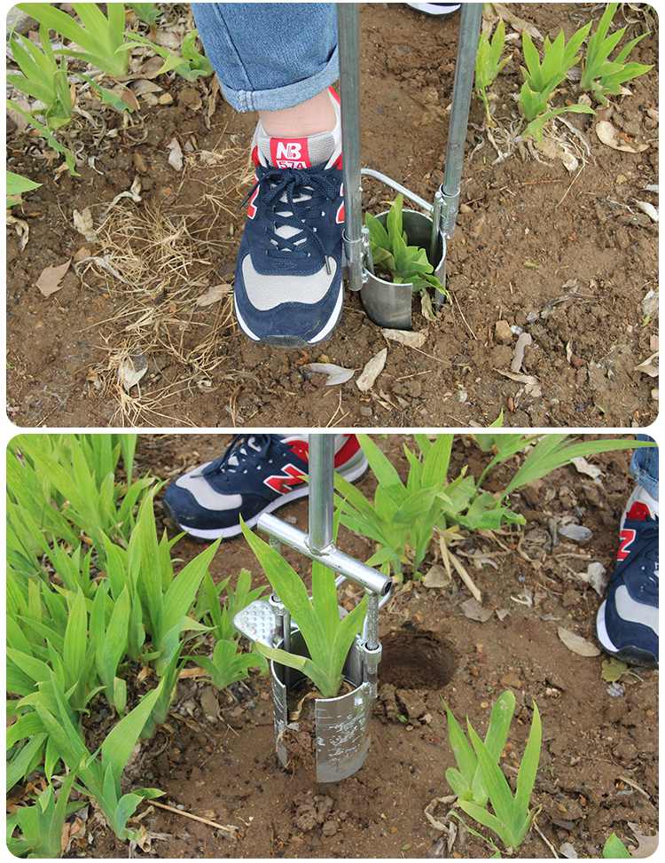 玉米移苗器补苗栽苗神器栽苗器移植器白菜打孔器移苗铲农用工具 75