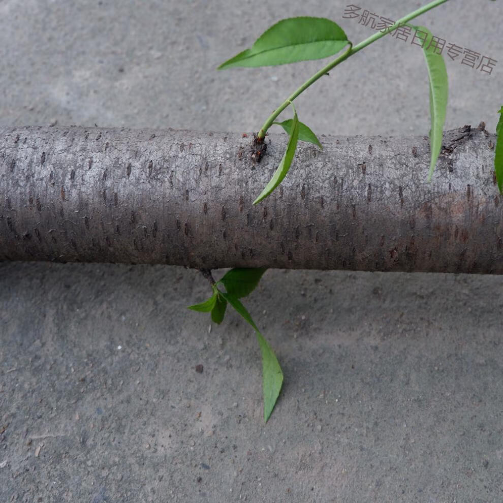 小米生态同款野生桃木原木料实木硬木料diy手工雕刻簪子刀柄料