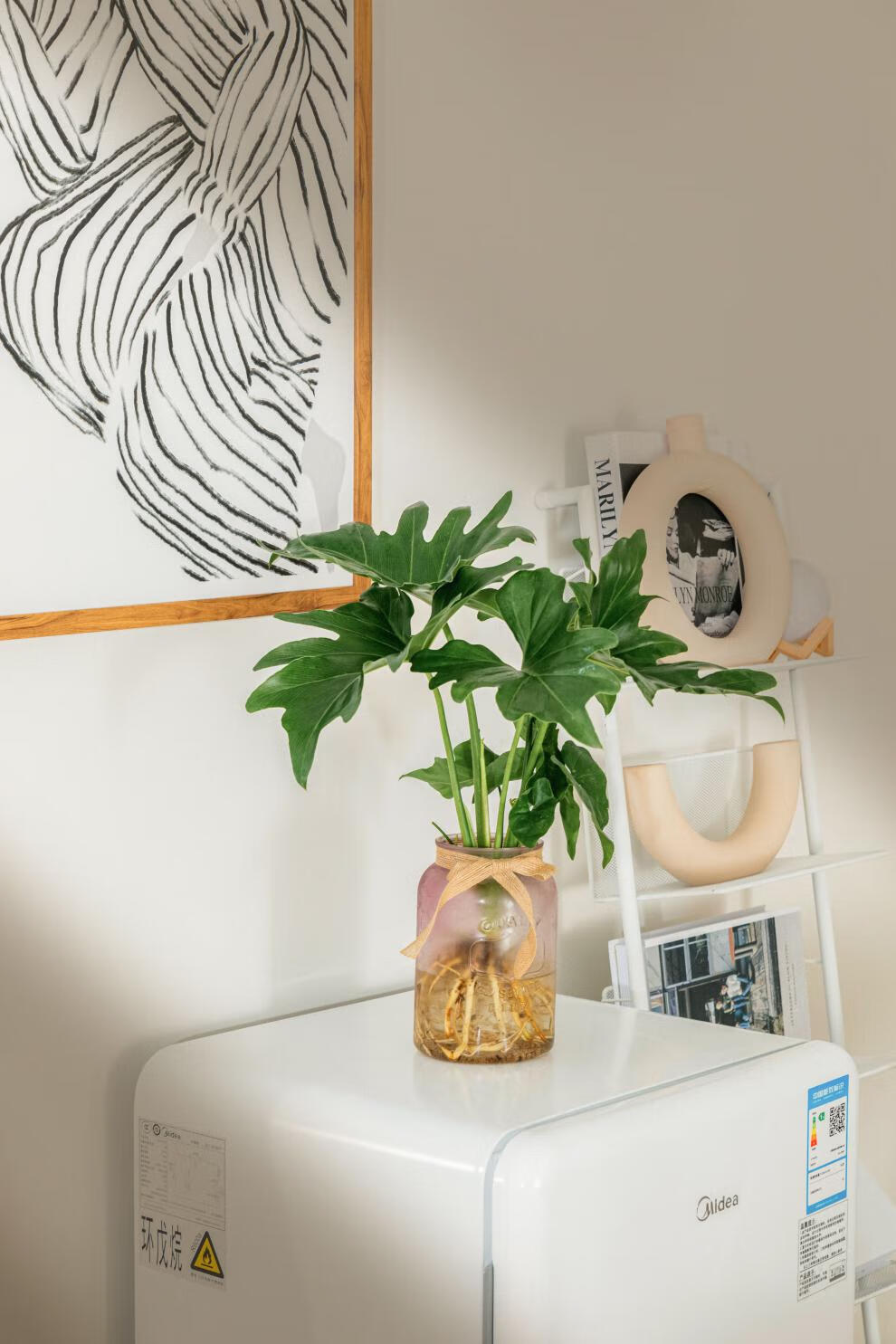 中梦春羽小天使水培盆栽室内桌面绿植花卉春雨 大春雨 淡雅粉广口玻璃