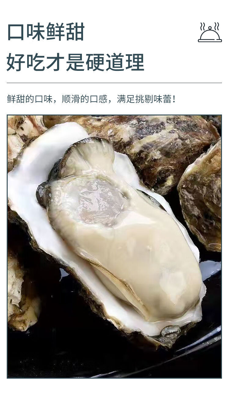 生蚝鲜活大生蚝肥生蚝海蛎特大牡蛎当日现捕鲜活发货生蚝大号批发