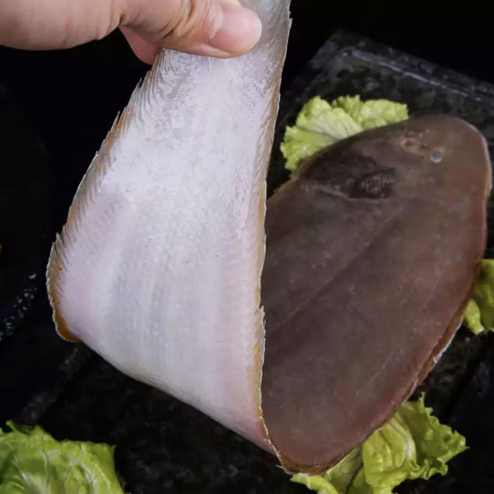 新鲜海捕龙利鱼舌头鱼踏板鱼鳎目鱼海鱼连云港特产海鲜水产特大号200g