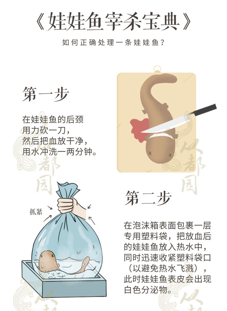 娃娃鱼活体食用娃娃鱼淡水养殖大鲵活鱼鲜活发货各种规格齐全416斤可