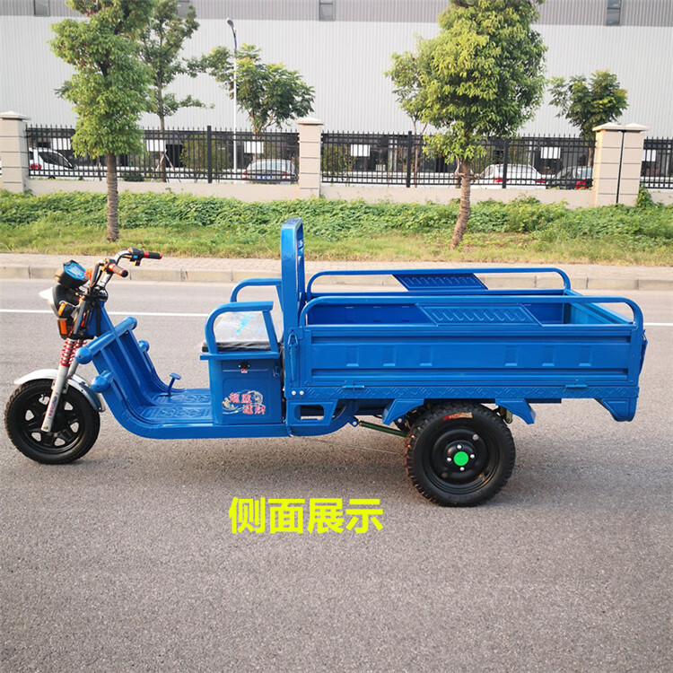 电动三轮车成人货车载货王农用快递电瓶接送孩子拉货农用货运新款18米