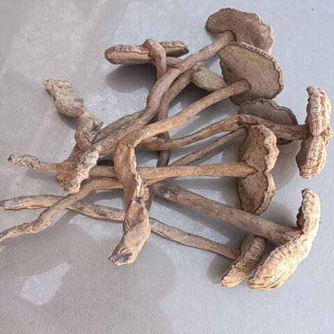 血灵芝云南深山野生乌香血灵芝假芝皱盖灵芝长颈灵芝250g 500g【图片