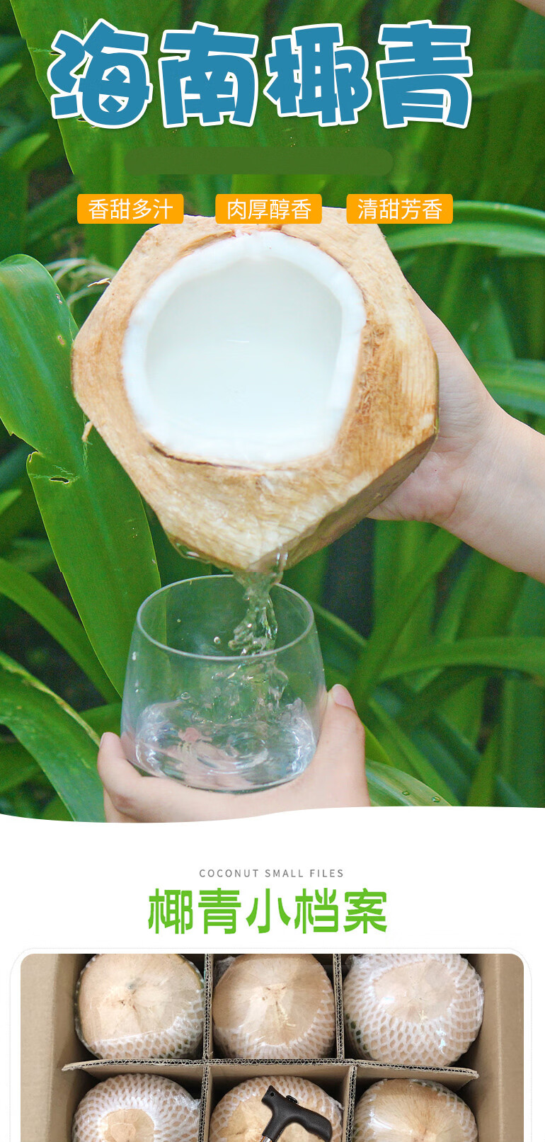 精选海南椰子水果生鲜椰青超大孕妇水果新鲜椰子清甜多汁椰子水整箱