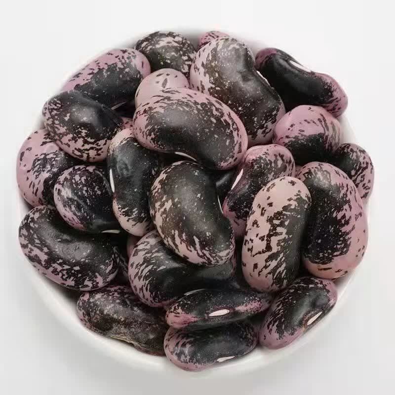 新花芸豆 新大肾豆农家自种新芸豆花芸豆牛眼豆大颗粒芸豆 云南大肾豆