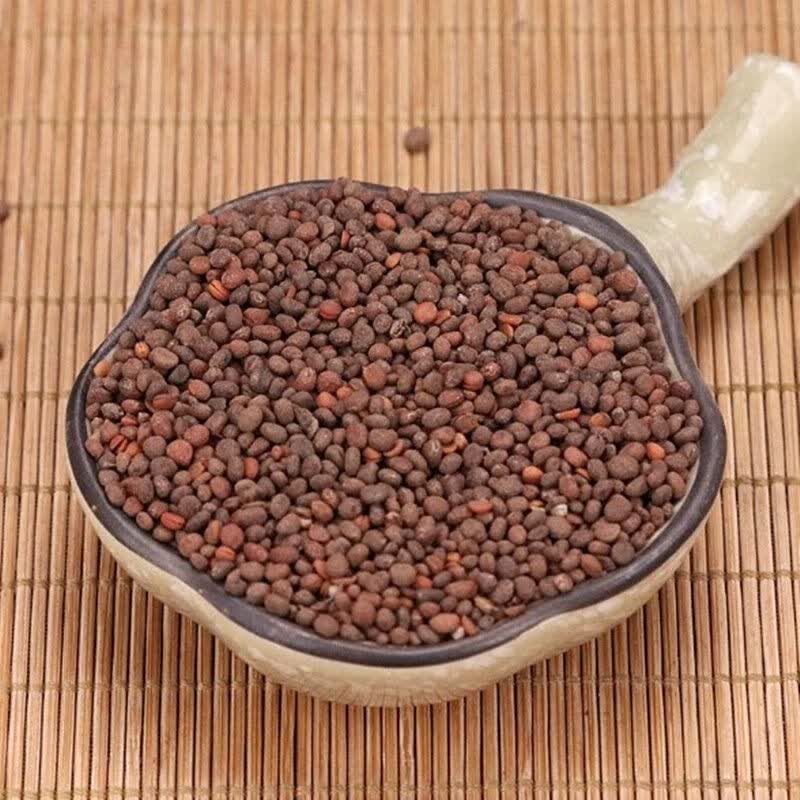 急性子新货中药材急性子凤仙花子指甲花子金凤花籽100g 500克【图片