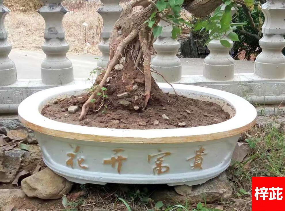 花盆模具盆水泥模具花盆模具水泥欧式花卉室内外盆景塑钢盆景模型自制
