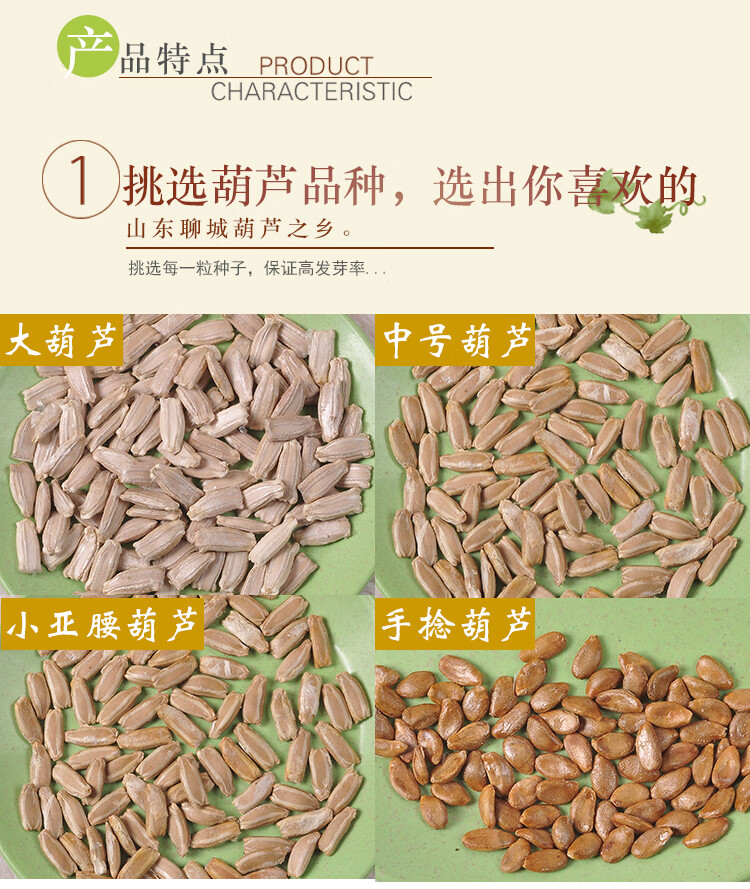 天然手捻大中小葫芦种子美国蚂蚁肚葫芦籽长嘴八宝葫芦种孑盆栽春 长