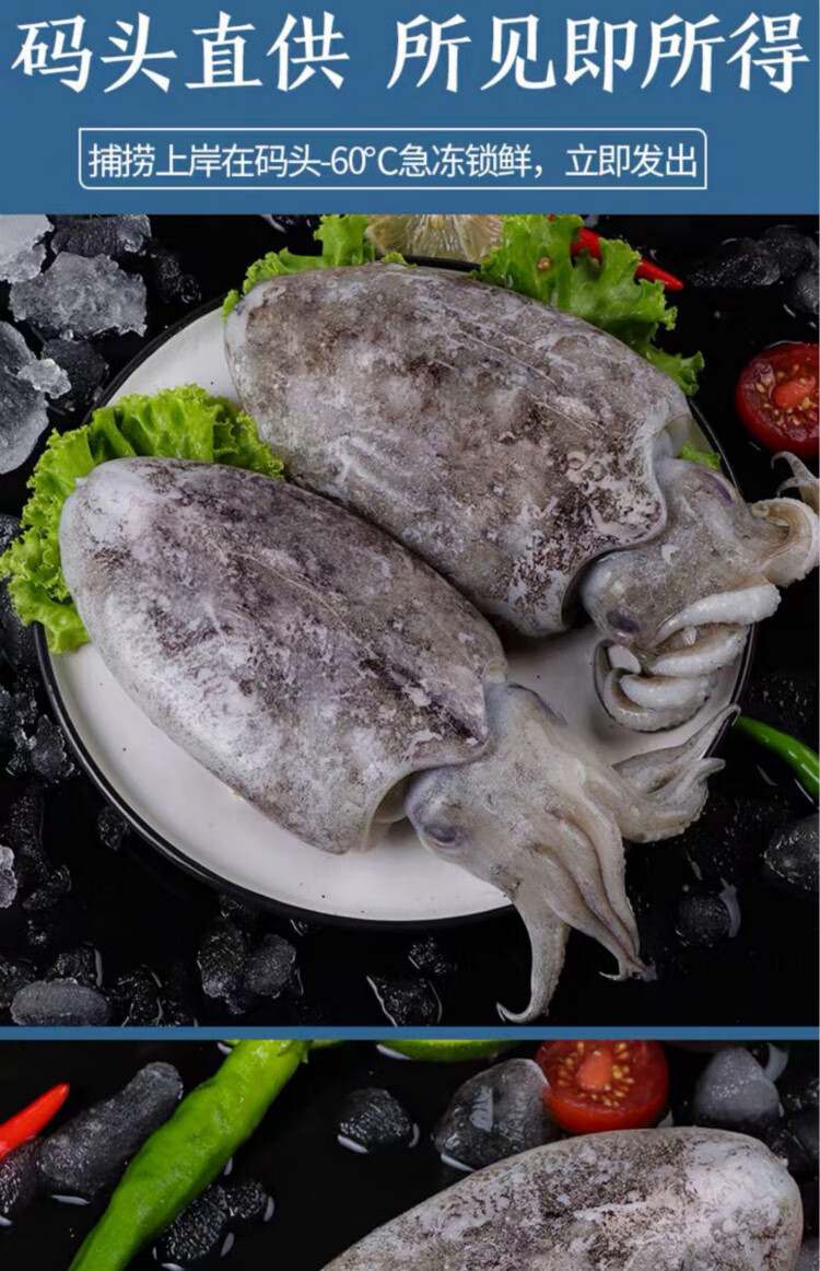 新鲜墨鱼鲜冻大乌贼鲜活大墨鱼超大鲜墨鱼目鱼墨斗鱼 3斤