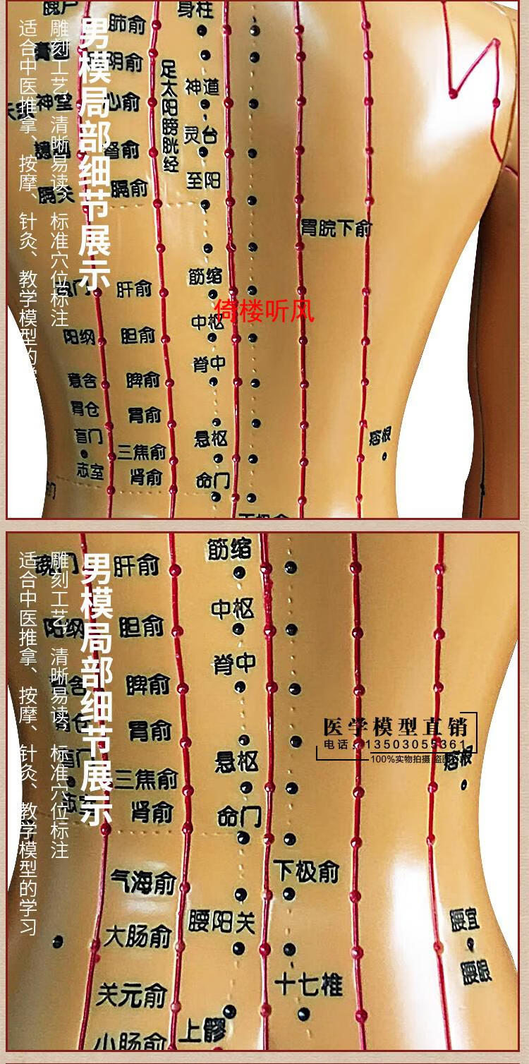 倚楼听风政河中医针灸穴位人体模型十二经络图铜人体穴位模型人全身小