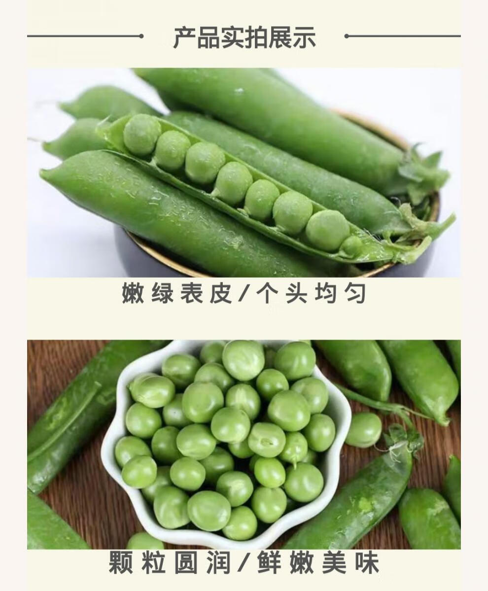 豌豆的种类名称及图片图片