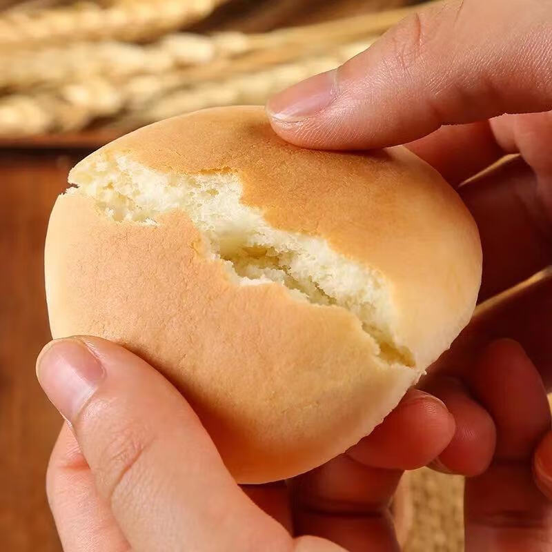 辉导 老爷孙老式光头饼味讯发面光头饼干法饼奶香发面饼传统糕点小吃