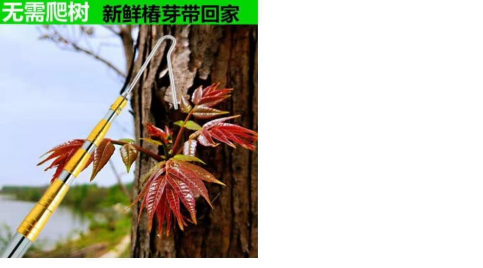 摘香椿芽的工具钩香椿神器摘榆钱芽摘槐花采香椿勾子 镰刀和钩子(不包