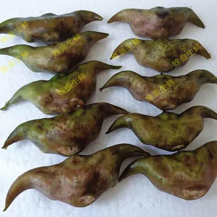 洪湖新鲜老菱角 农家黑色带壳 乌菱角 黑两角 3斤【图片 价格 品牌