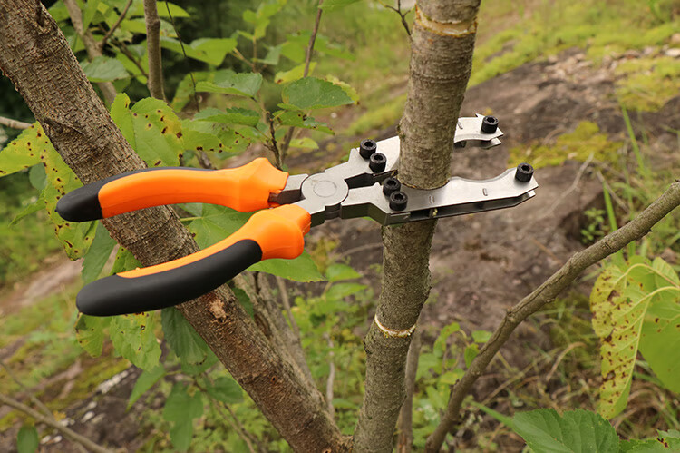 冬枣开甲环剥刀葡萄剥皮剪果树环割刀环切双层环剥钳子剥树皮神器环剥