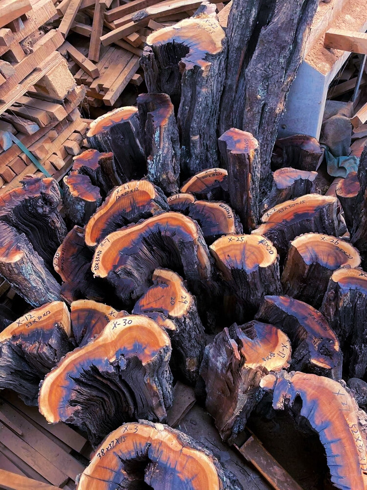 微韵真正雷击枣树原木活树伐开料雷劈枣木自然雷痕道教实用原木段a15