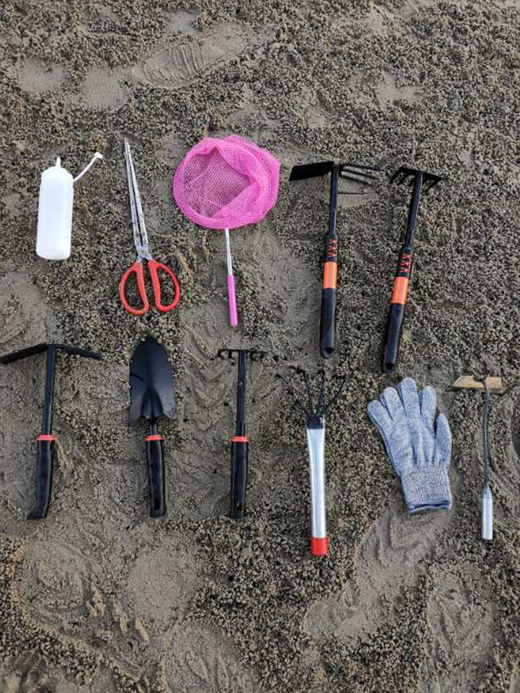 赶海夹子 赶海工具套装装备儿童手套海边夹子螃蟹夹挖耙子抓蟹铲抽虾