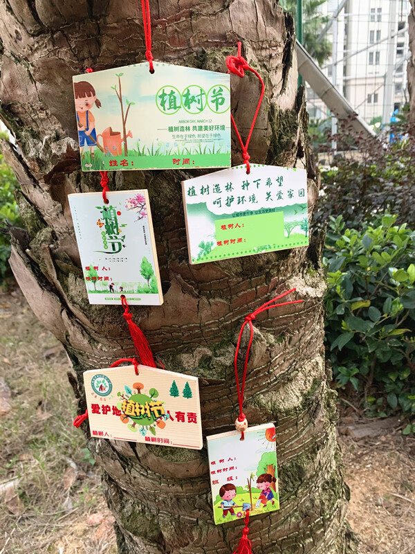 索拉圖植樹節掛牌裝飾木片手工diy幼兒園小學活動吊卡許願樹小木牌