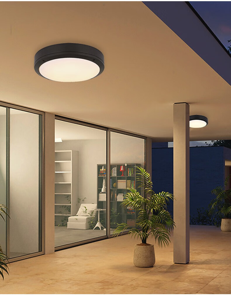 浦捷仕户外吸顶灯简约现代室外过道阳大门走廊感应灯防蚊虫玄关灯 圆