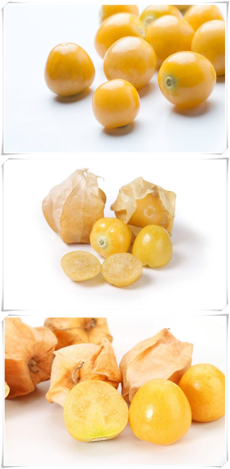 轻恋东北黄菇娘菇鸟洋菇娘金姑娘金灯果黄金莓新鲜甜锦灯笼果son 2斤