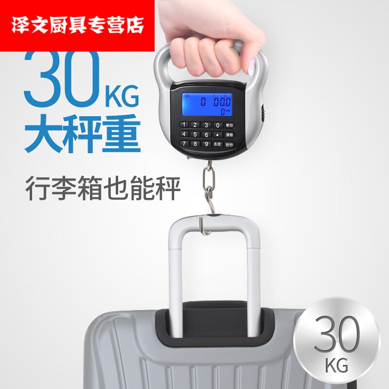 帅厨师手提秤高精度便携式电子称手提弹簧称计价充电快递秤手称小秤