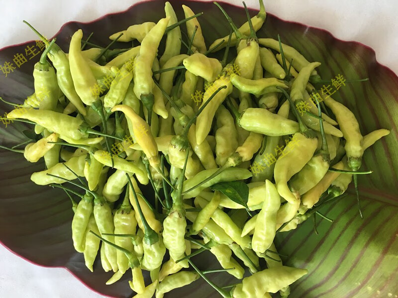 新鲜小米辣 野山椒 白辣椒 白小米 做泡椒 5斤