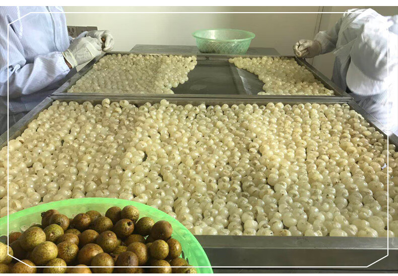 新货高州特产500g特级9a无核灯笼桂圆肉龙眼肉干货农家产无硫鸿卓堂