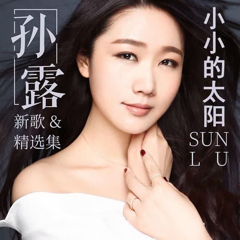 旁恩车载音乐u盘无损音乐 车载孙露雷婷张玮伽发烧女声u盘歌曲汽车载