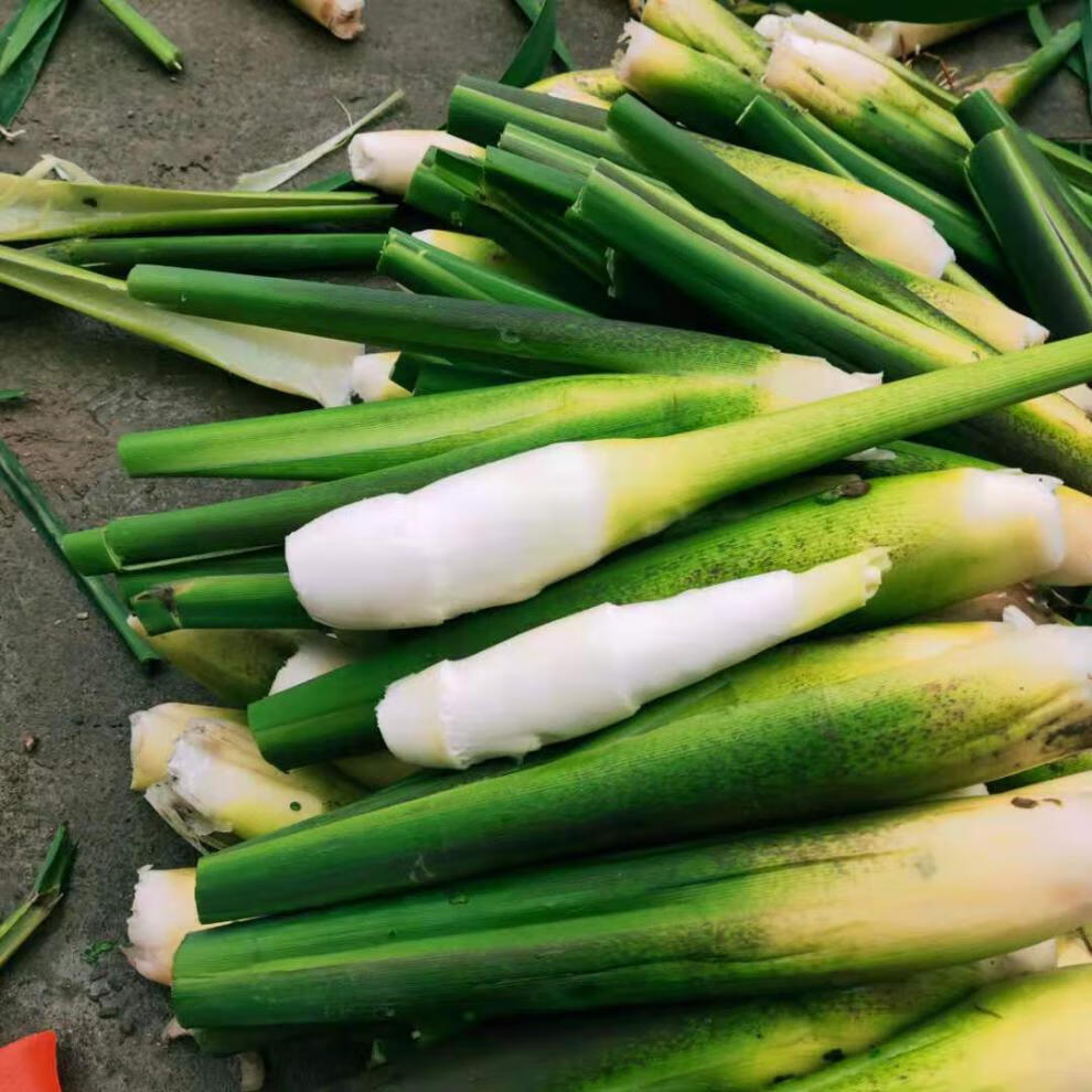 当天采摘岳西新鲜茭白时令蔬菜农家种植高笋茭儿菜安徽特产食材时令
