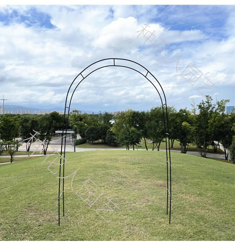 葡萄架室外葡萄架植物攀爬铁线莲蓝雪花月季拱形拱门花架爬藤架支架庭