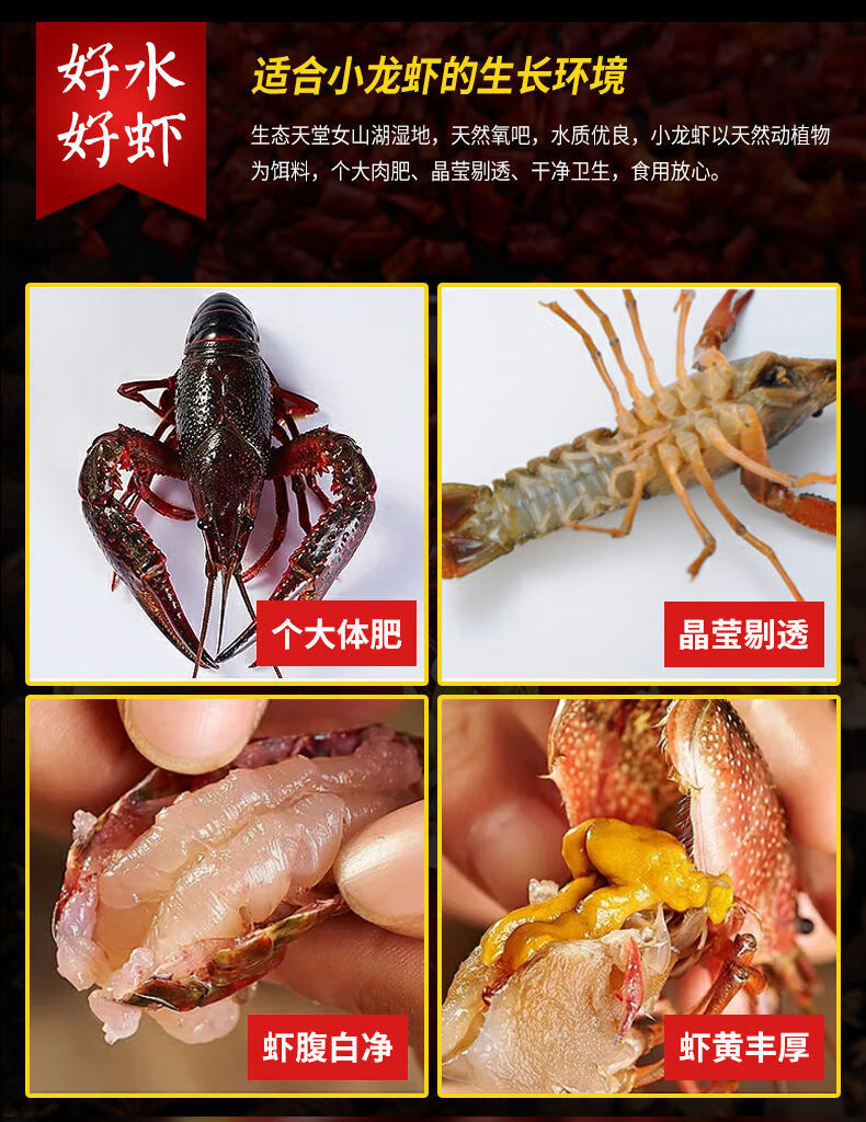 鲜船长麻辣小龙虾熟食加热即食盒装鲜活熟食46钱十三香蒜蓉龙虾34斤
