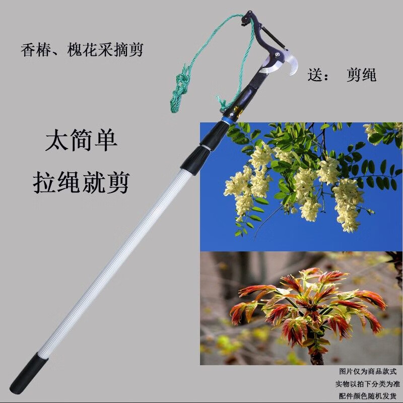加固嘉特崴3米5米加长伸缩杆香椿芽刀钩香椿剪槐花采摘神器工具高枝剪