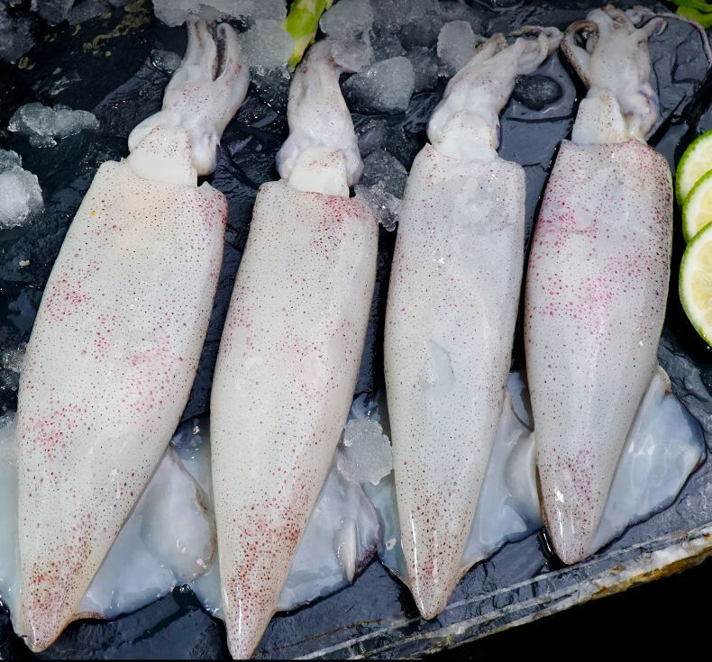 满籽籽乌全籽籽乌生鲜海兔笔管鱼墨鱼鱿鱼墨斗鱼烧烤海鲜 【精选原籽