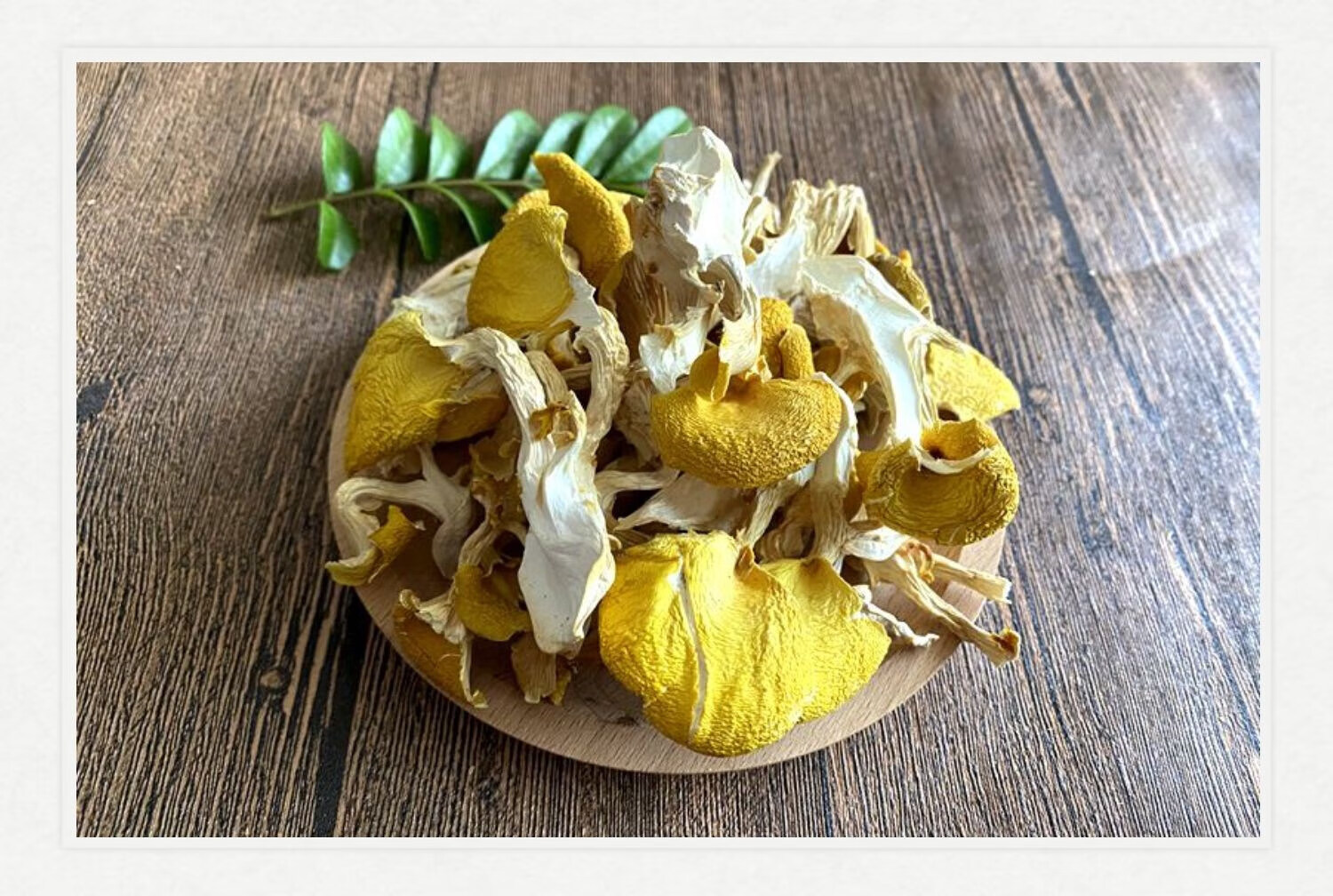 云南鸡油菌干货 黄金菇榆黄菇香菇山珍土特产100g 野生黄丝菌 500g