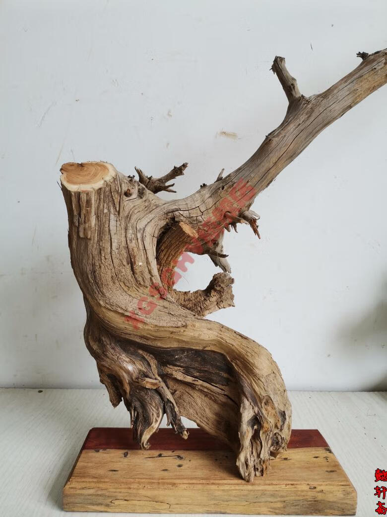 2022新款pvc内牙活接太行崖柏摆件根雕崖柏毛料原料陈化料红白料树根