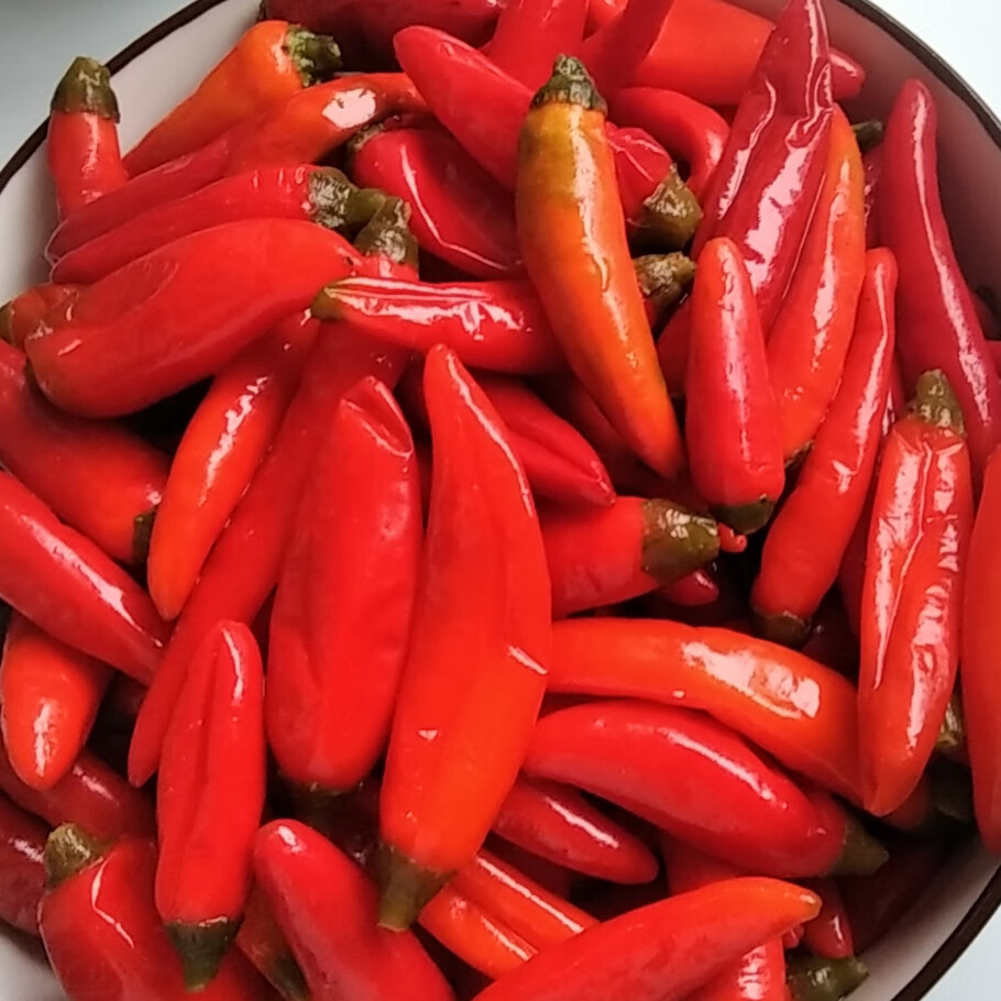 广西全州特产酸辣椒桂林红酸辣椒农家新鲜泡椒皮薄肉厚汁多酸海椒 2斤